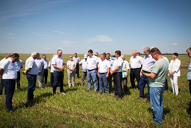 Нецелевое использование земель – вне закона